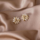 Opal  Elegant Earrings